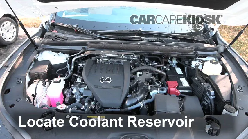 2024 Lexus RX350 2.4L 4 Cyl. Turbo Coolant (Antifreeze) Flush Coolant